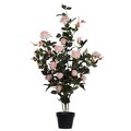 45" Pink Rose Plant in Pot