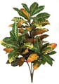 3 feet Croton Bush - 72 Leaves - 3 Stems - Multi-Color - Bare Stem - FIRE RETARDANT