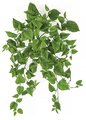 28 INCH FIRE RETARDANT /UV PROTECTED HANGING MIXED GREEN CISSUS BUSH