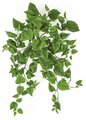 28 INCH FIRE RETARDANT /UV PROTECTED HANGING MIXED LIGHT GREEN CISSUS BUSH