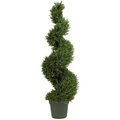 4 feet Rosemary Spiral Tree (Indoor/Outdoor)