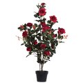 45 inches Red Rose Plant in Pot