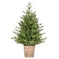 3' x 30" Gibson Slim Potted Pine Artificial Christmas Tree, Warm White Dura-lit LED Lights