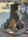 Custom made Tree Stump  25" Wide Bottom  11.5"  Middle  9" Top