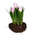 9 inches Pink Tulips in Bird Nest 2/Pk
