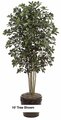 10 feet Black Olive Tree Natural Trunks 6,240 Leaves