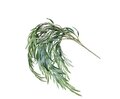 48" Weeping Willow Spray Green