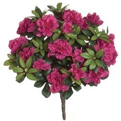 15" FireSafe Flowering Azalea Bush |  Beauty Color