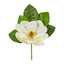 18" Magnolia Artificial Flower (Set of 6)