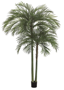 9.5 Foot Tall Areca Palm Tree 2 Trunks with 1692 Leaves in Pot Green