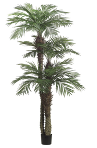 9 Foot + 7 Foot + 5 Foot  Tropical Areca Palm Tree with 3 Trunks with 1364 Leaves in Pot