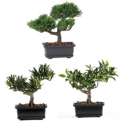 8.5" Bonsai Silk Plant Collection (Set of 3)