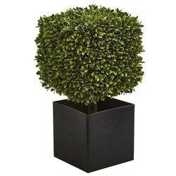 27" Boxwood Artificial Plant in Black Planter (indoor/Outdoor)