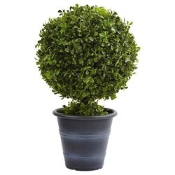 23" Boxwood Ball Topiary