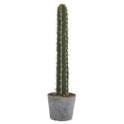 41" Cactus in Stone Planter Artificial Plant