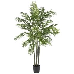 6' Areca Palm Silk Tree