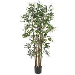 4 feet Multi Bamboo Bamboo  Tree