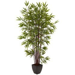 6' Bamboo Silk Tree w/Planter