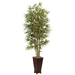 6' Bamboo Tree w/Decorative Planter