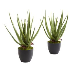 Aloe Artificial Plant (Set of 2)