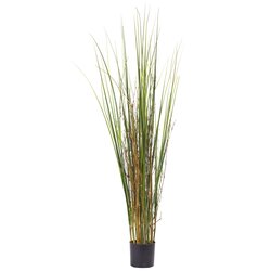 4' Grass and Bamboo Plant