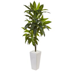 3' Dracaena Plant in White Tower Planter