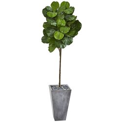 75" Fiddle Leaf Artificial Tree in Cement Planter