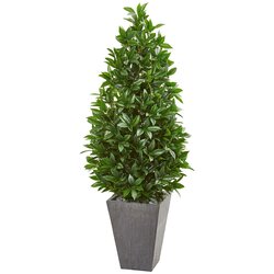 57" Bay Leaf Cone Topiary Tree in Slate Planter UV Resistant (Indoor/Outdoor)