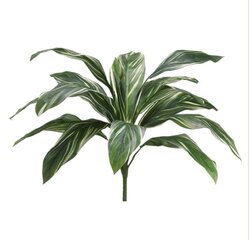 26 inches Cordyline Bush with 15 Leaves Green White