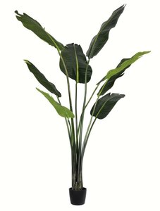 5 feet Artificial Potted Travellers Palm Tree with 8 Leaves