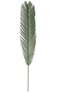 44 inches Cycas Palm Branch - 9 inches Width - Light GreenPolyblend (Plastic) UV Rated Outdoor Foliage