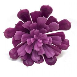 6.5 INCH UV OUTDOOR TUTONE PURPLE ECHEVERIA PICK