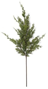 36 Inch Natural Touch Cypress Spray