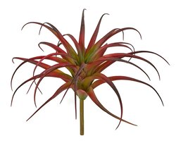 11.5 Inch Artificial Tillandsia Plant