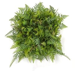 10 Inch X 10 Inch Artificial Fern Wall Mat