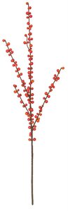 28 Inch Freeze Resistant Ilex Berry Spray In Red Or Orange