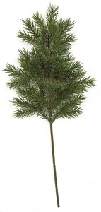 19 Inch Pine Spray (Sold Per Piece)