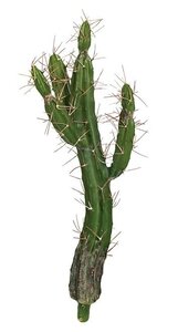 21.5 inches PLASTIC CACTUS PLANT