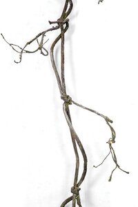 8 FOOT BENDABLE TWIG GARLAND