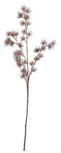 39 Inch Creeping Thistle Spray