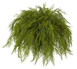 31 Inch Polyblend Outdoor  Cypress Bush