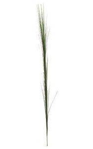 41 inches PVC Onion Grass - Green