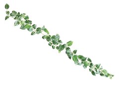 72” Fire rated pothos vine garland