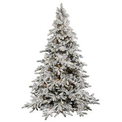 12 feet Flocked Mountain Utica Christmas Tree featuring 4768 PVC Tips and 2000 LED Warm White Italian Lights.