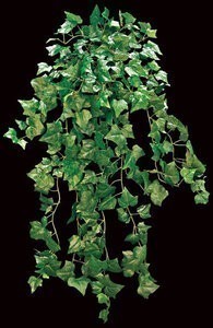 48 inches Ivy hanging  Garland vine Fire Retardent