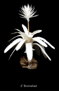 2 feet, 3 feet Canvas Bromliad