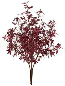 48 inches Outdoor Maple Bush - 5 Stems - 31 inches Foliage Height - 30 inches Width