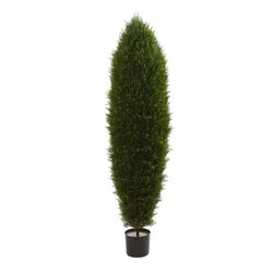 5’ Outdoor Cypress Tree