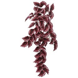38 inches Begonia Hanging Bush W/63 Lv-Red