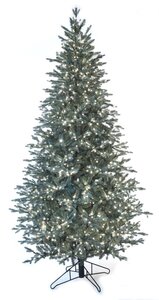 Full-Size Blue Swiss Pine Trees | 6 Ft. to 15 Ft. Tall
